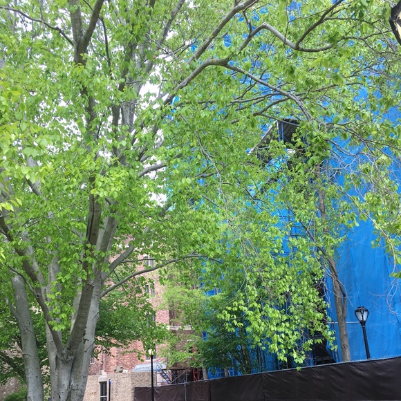 Meet your Posher, Nariyah - Picture 1 of 1